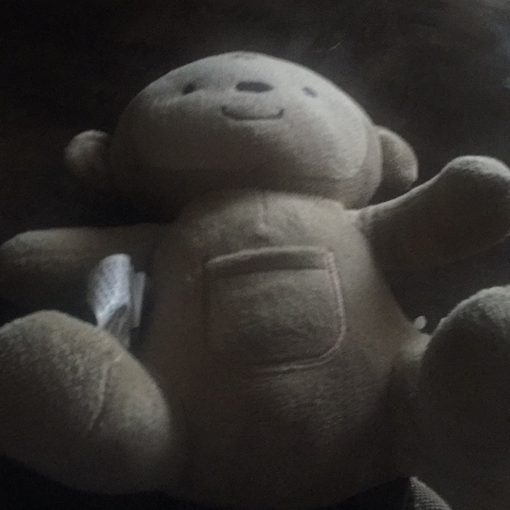A child holder